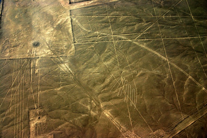 Nazca Lines - Condor